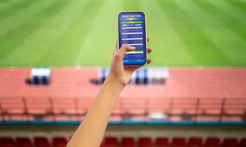 Complete Guide Explaining Online ID Cricket Betting for Beginners       