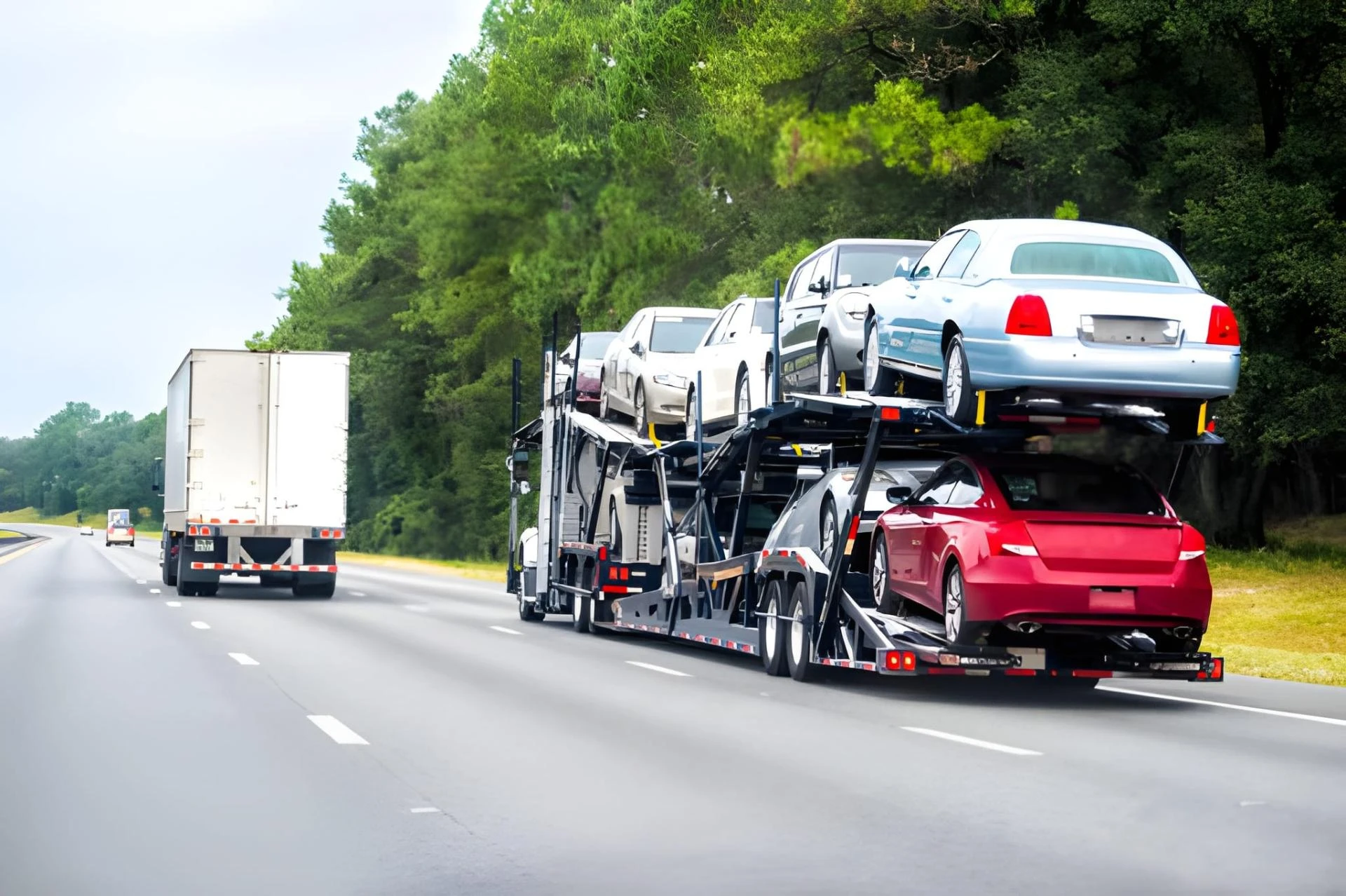 Choosing the Right Shipping Company in Dubai: What You Should Know