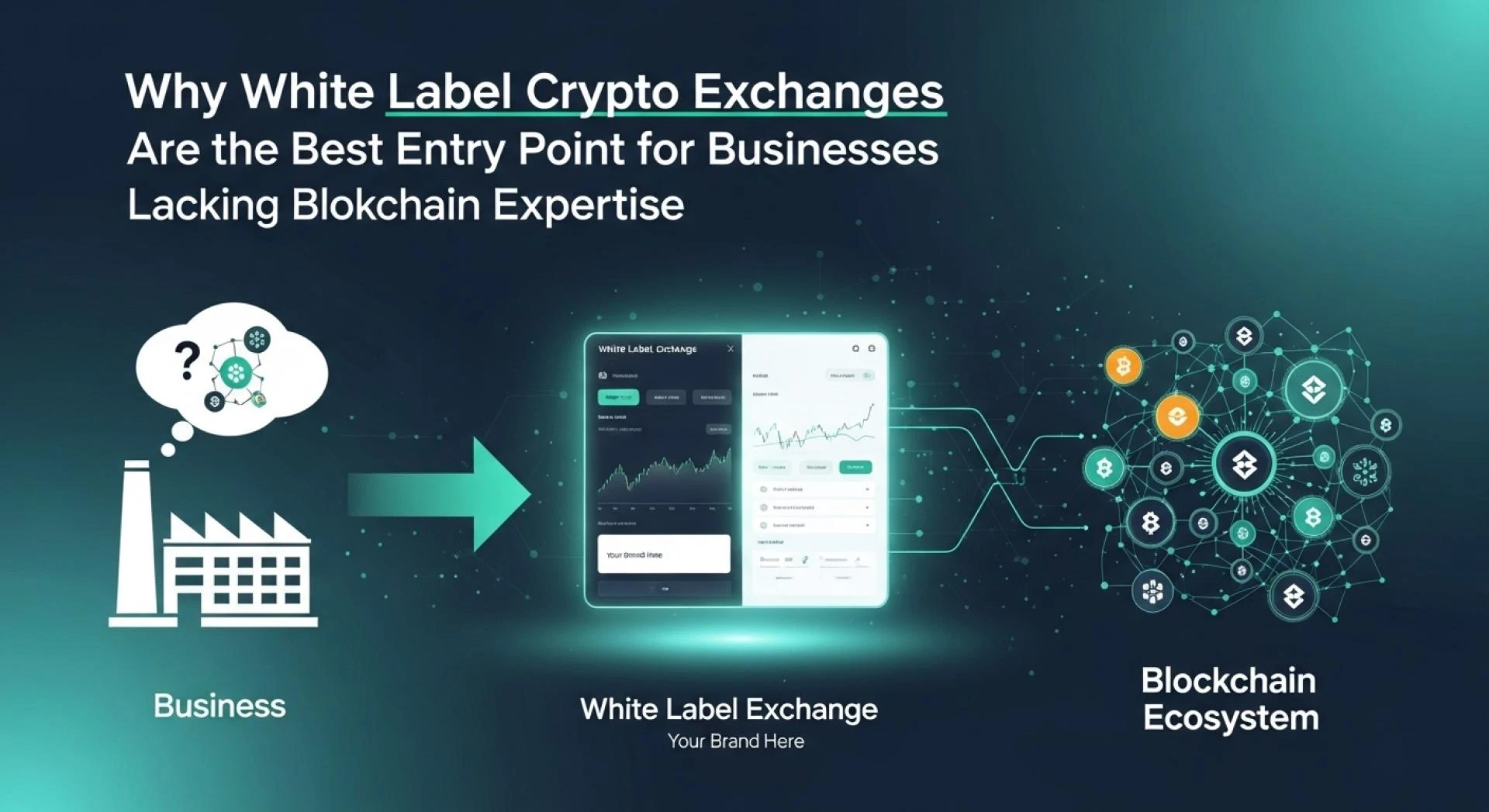 Why White Label Crypto Exchanges Are the Best Entry Point for Businesses Lacking Blockchain Expertise