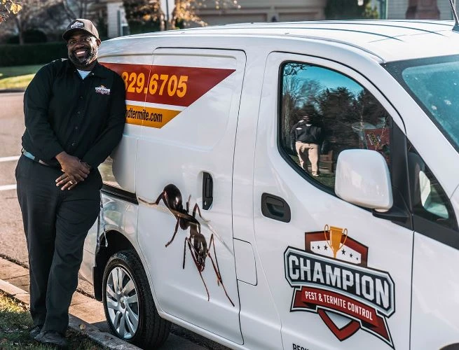 What Professional Pest Control Actually Does (Step-by-Step)