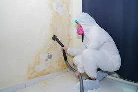 Mold Inspection in Malibu, CA: Certified Testing for Coastal Homes & Luxury Properties