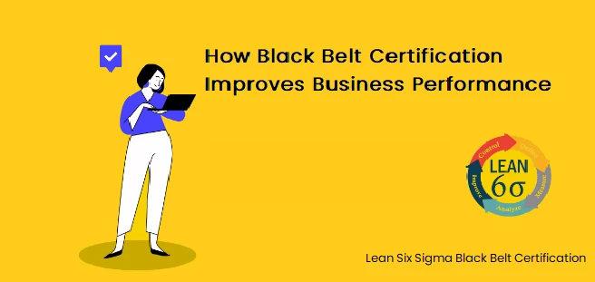 How Black Belt Certification Improves Business Performance