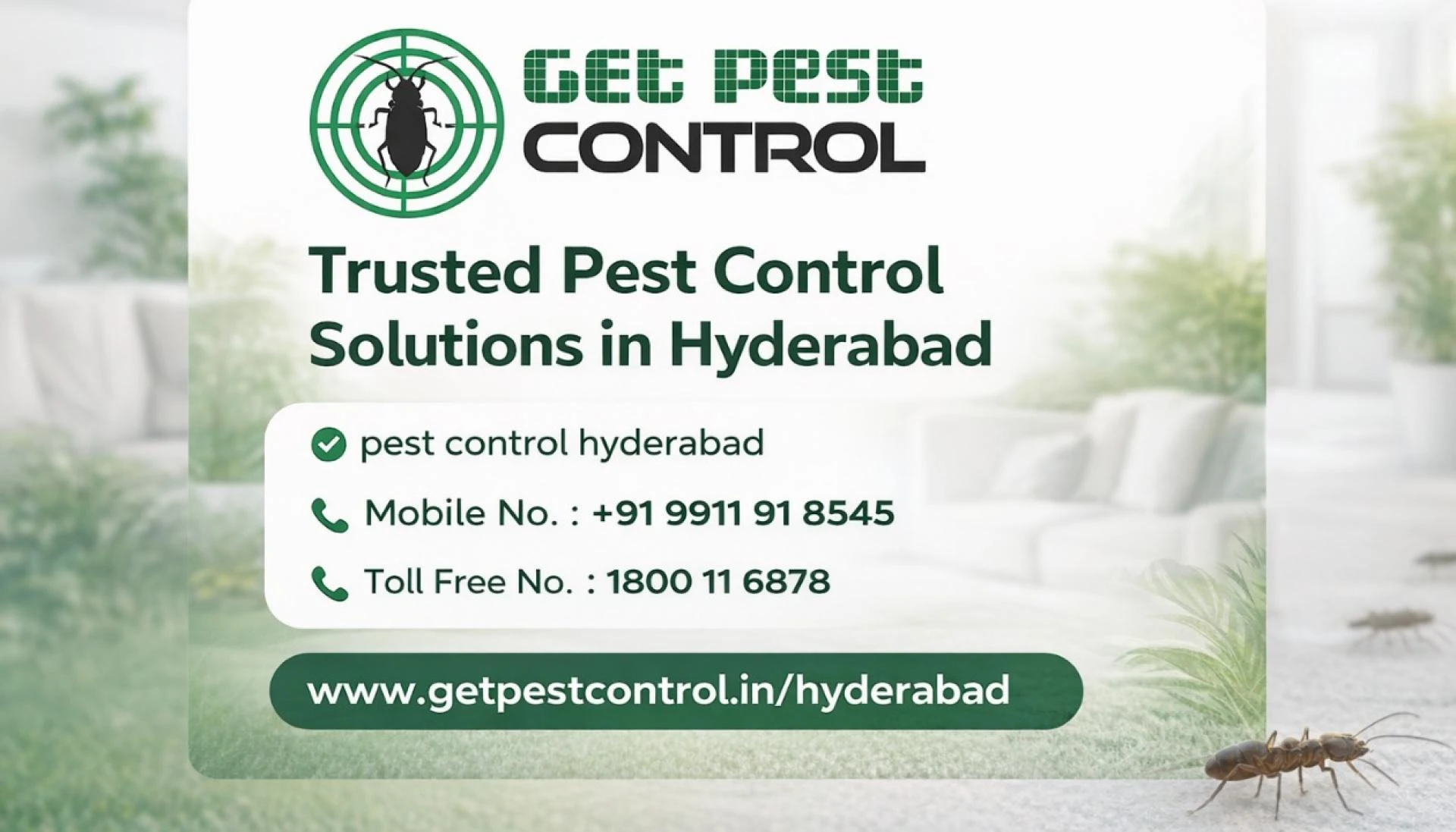 Trusted Pest Control Solutions in Hyderabad