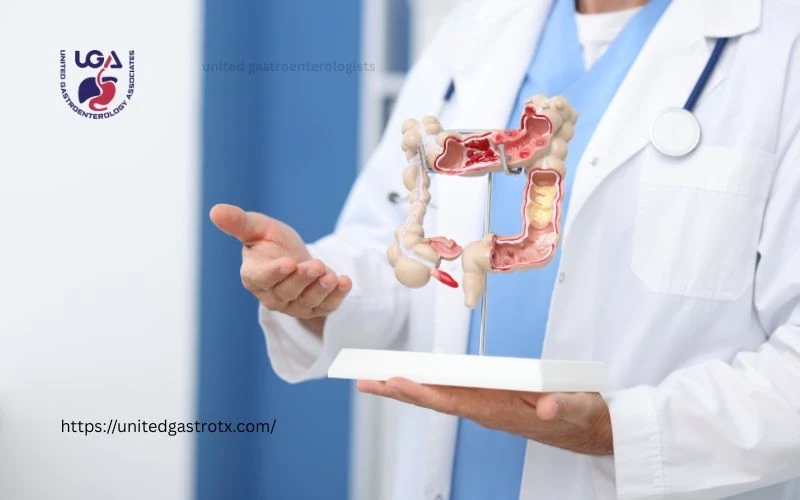 Highest Dietary Fiber Foods for Better Digestion