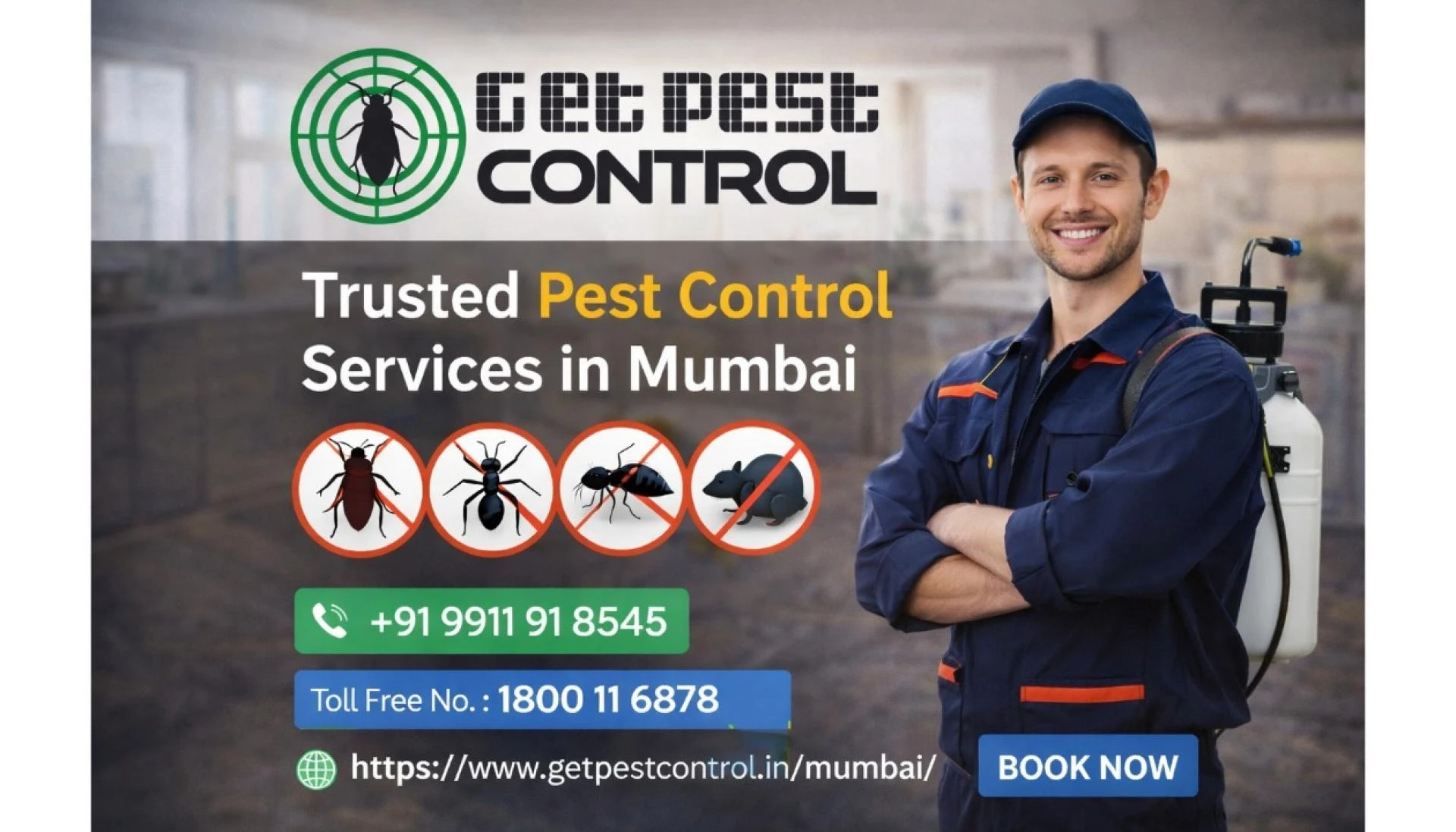 Best Pest Control Services in Mumbai for Homes and Offices