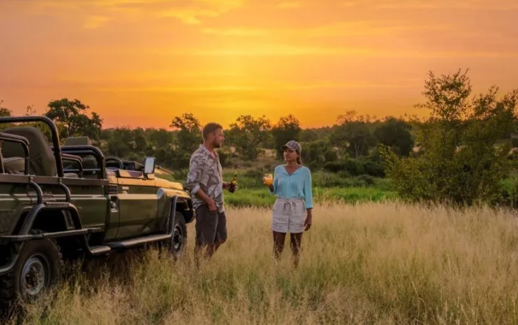 South Africa Safari Packages from USA: An Unforgettable African Adventure