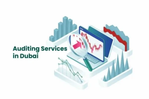 What Makes the Best VAT Consultants in Dubai Stand Out