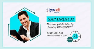 What are the main sub-modules in SAP HCM?