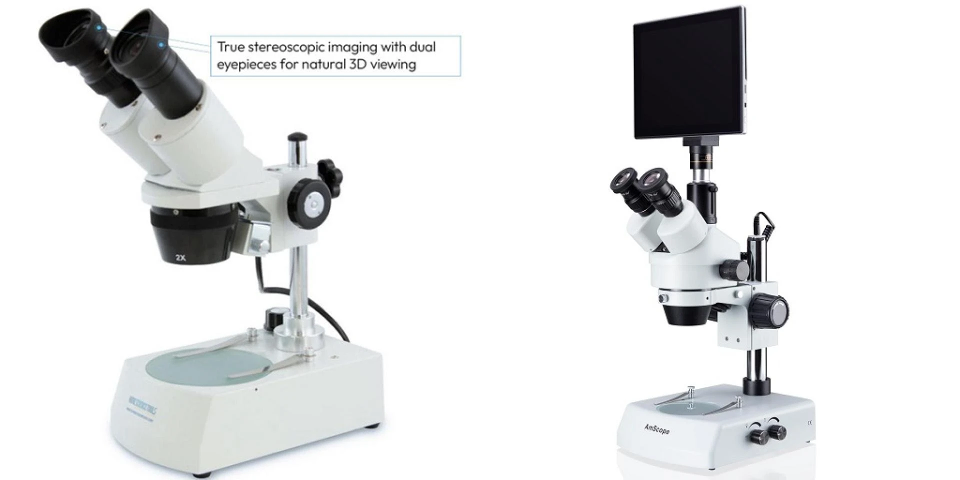 Exploring Nature with a Dissecting Microscope