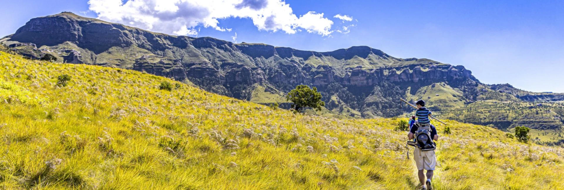 Luxury Trains in South Africa Discover the Perfect Seasons of the Year with African Travel