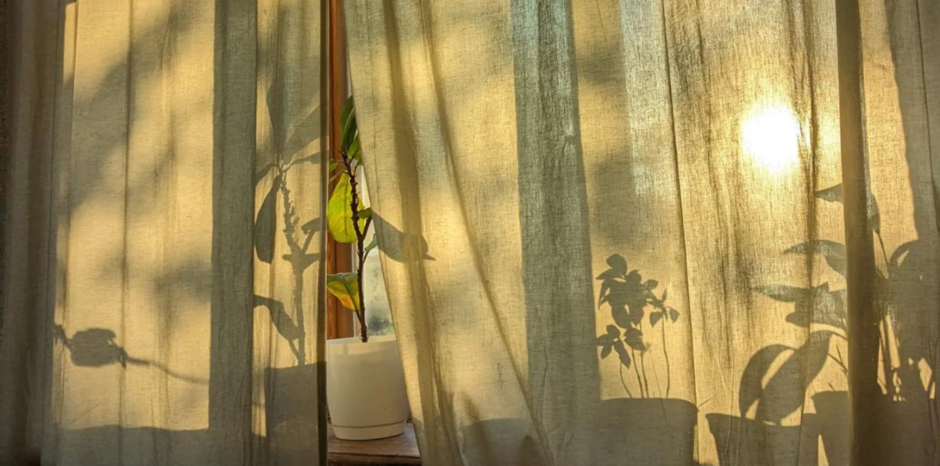 Anxiety Counseling in Austin, TX: How Online Therapy Can Help You Overcome Social Anxiety