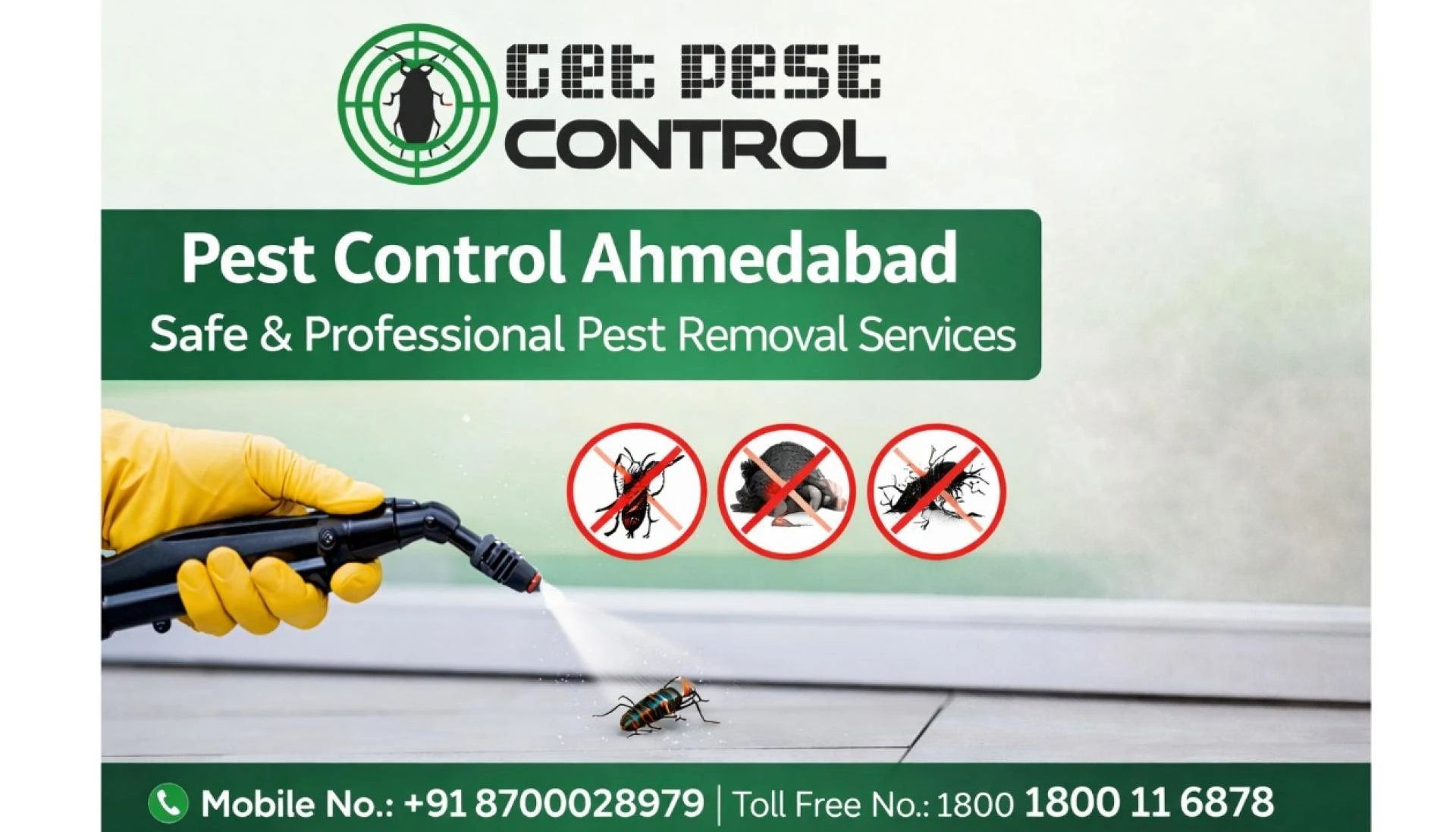 Pest Control Ahmedabad – Safe & Professional Pest Removal Services