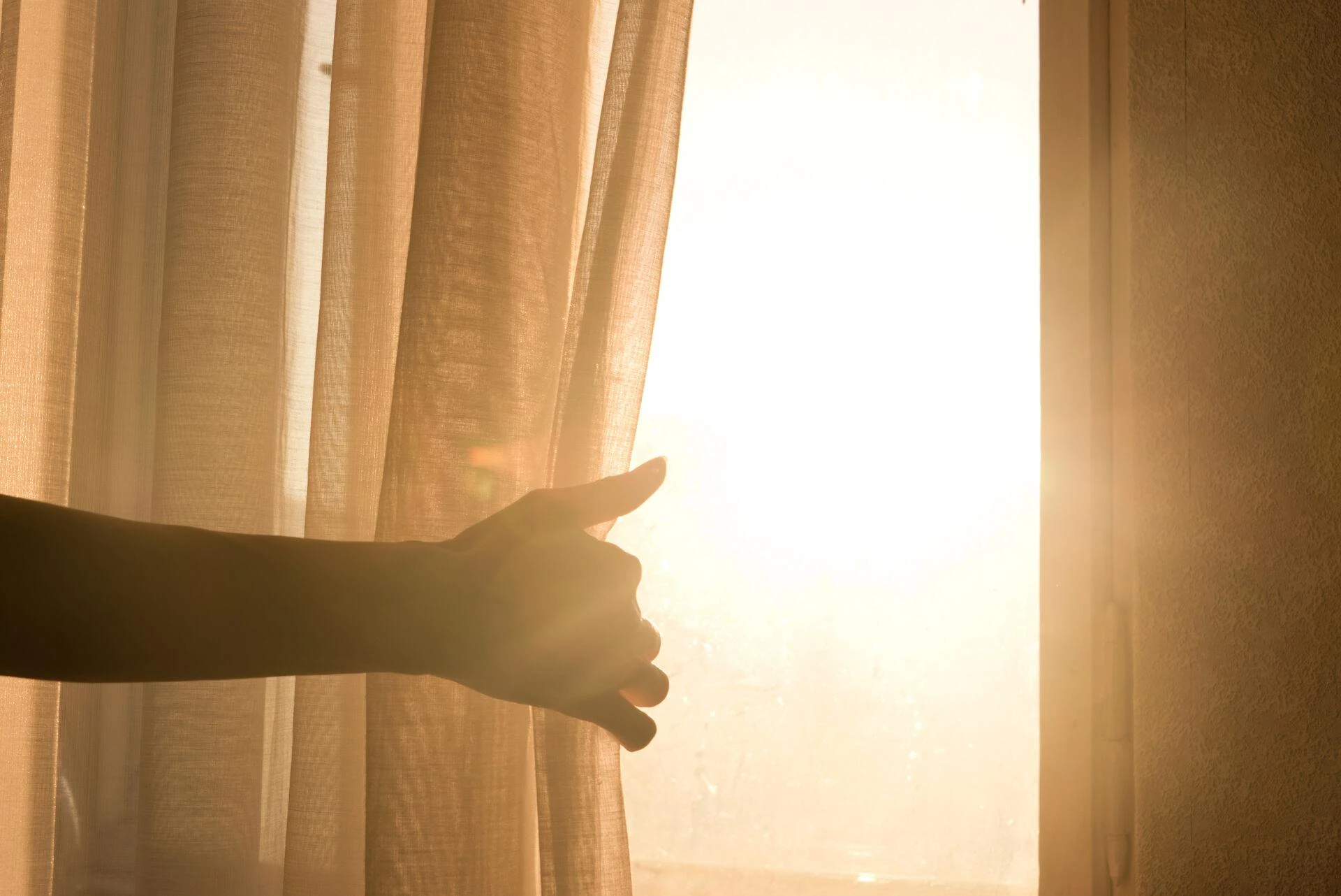 Can I control my curtains using a smartphone app? Everything you need to know. 