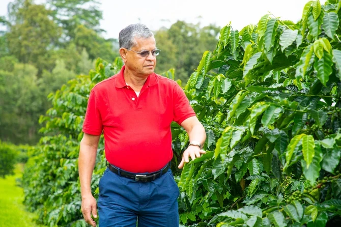 Rare gems of the coffee world: Why Peaberry matters more than you think