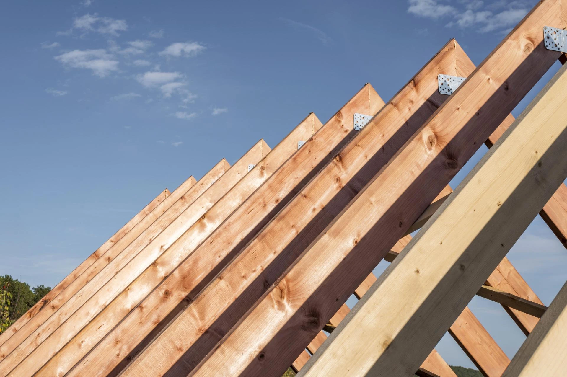 Residential Roof Repair in Chandler: Safeguard Your Home from Weather Damage