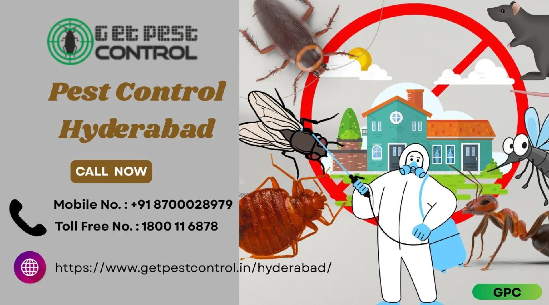 Pest Control Hyderabad | Safe & Professional Pest Removal Services