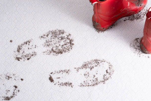 Carpet Cleaning Blacklick, OH: Expert Techniques to Remove Mud Stains Effectively
