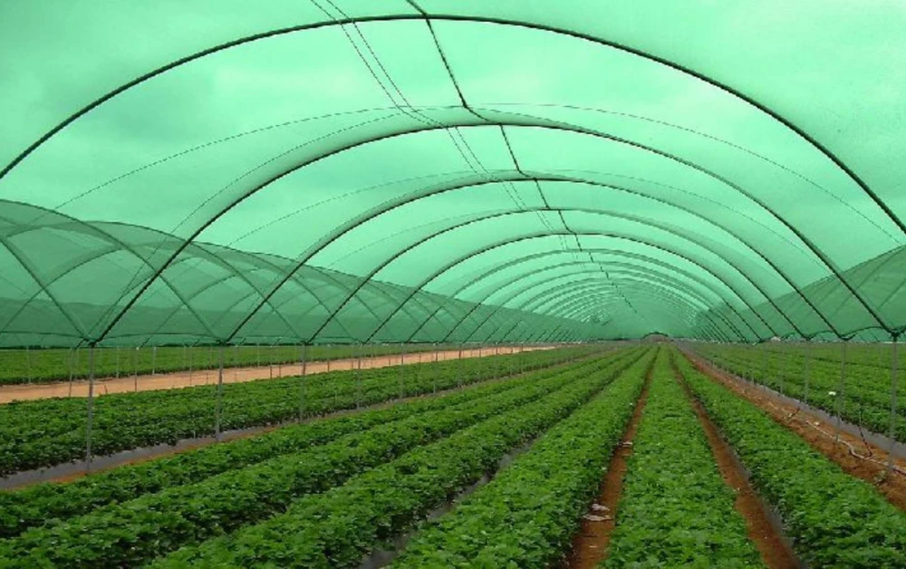 What Smart UAE Buyers Know About Long-Lasting Shade Nets That Others Don’t