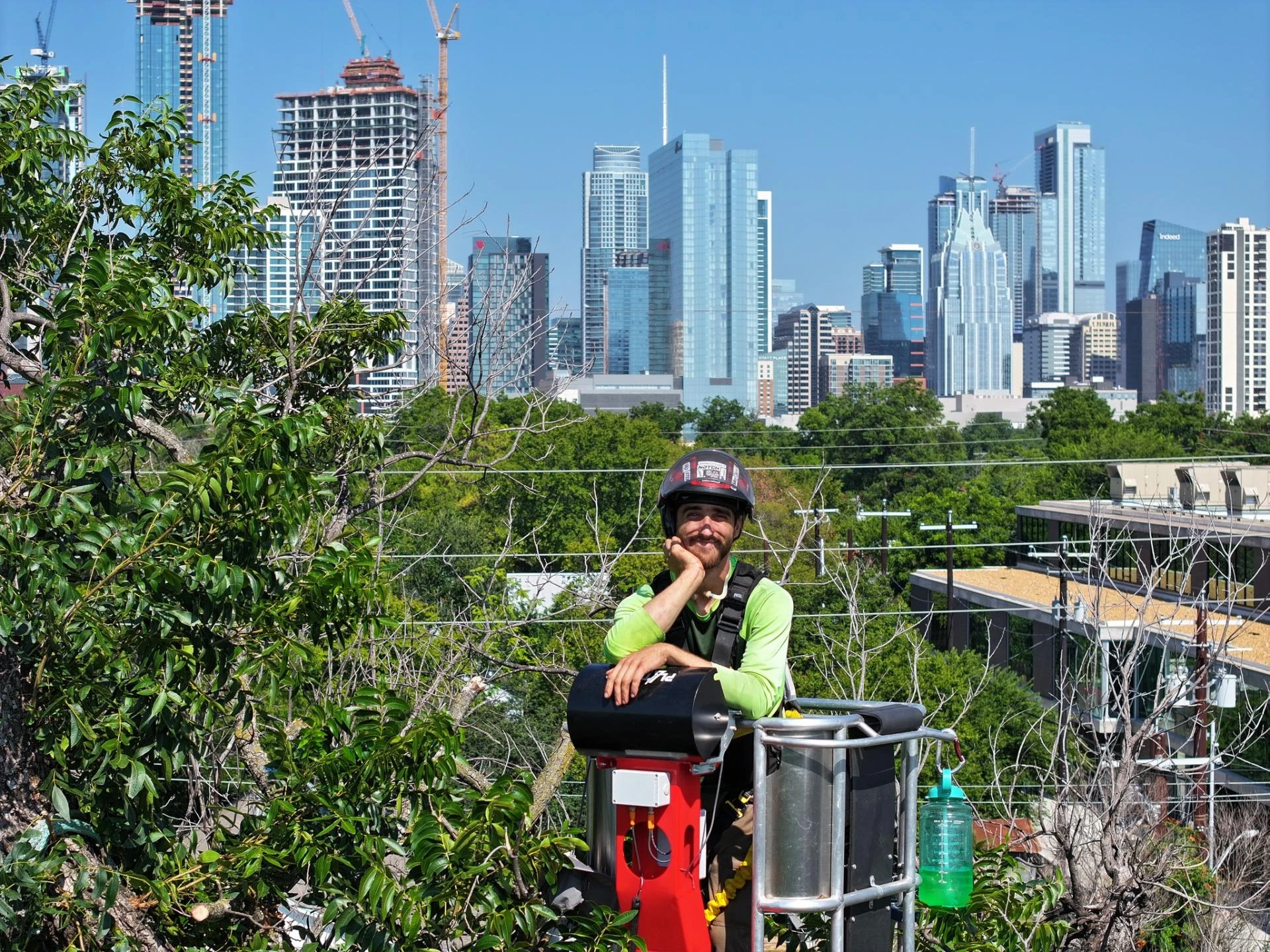 Why Tree Planting Is More Than an Environmental Statement