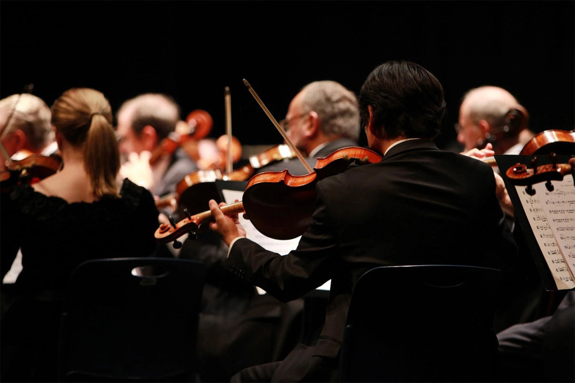 Book an Orchestra to Create an Unforgettable Live Music Experience