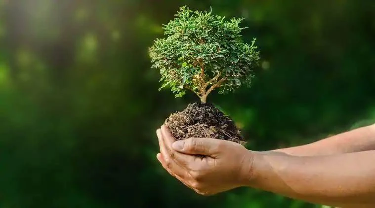 CDP, TCFD, and SFDR: Navigating the Alphabet Soup with Unified Assurance