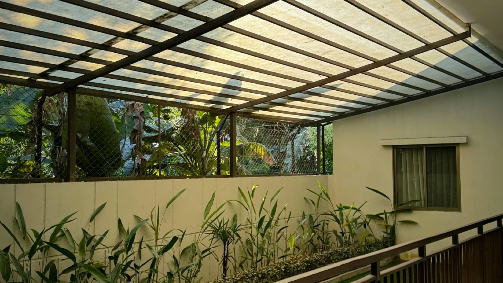 When a Translucent Vinyl Roof Makes Sense for Your Space