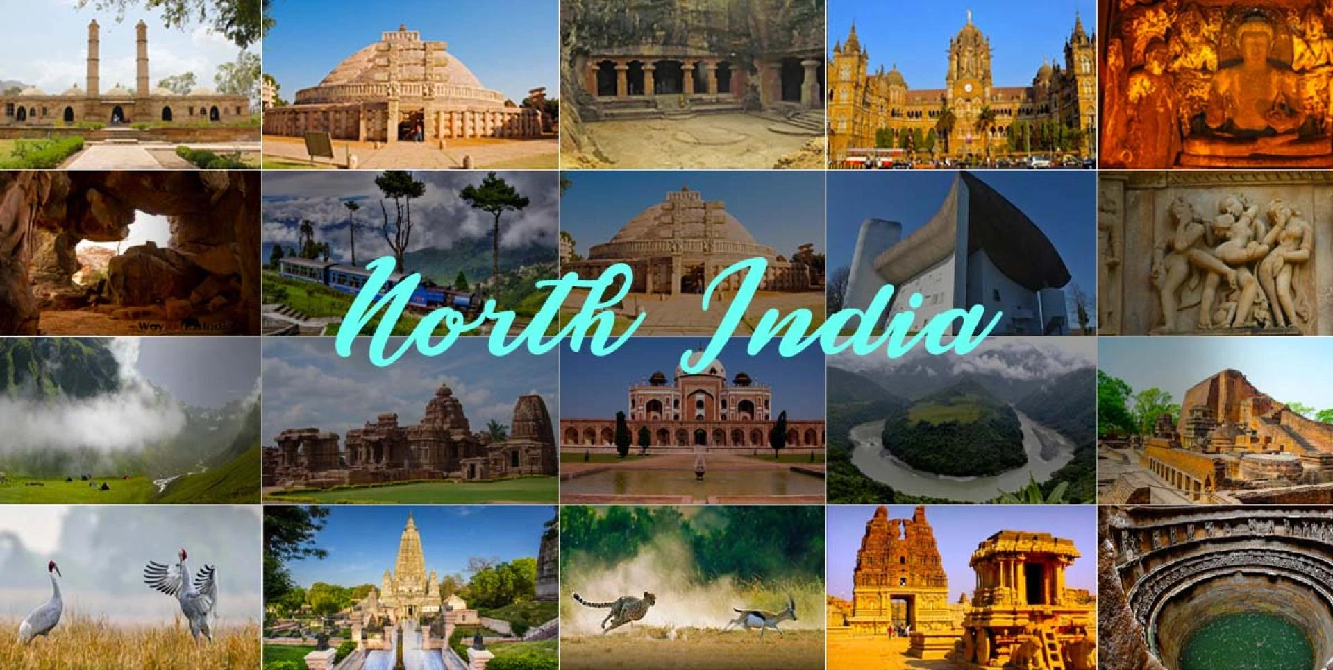 What food and local cuisine should be tried during a North India tour?