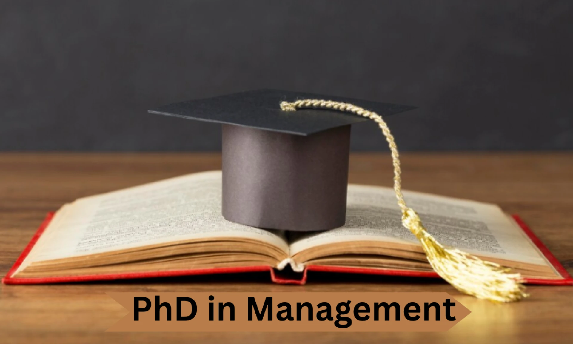 Why PhD in Management is the Right Next Step after an MBA