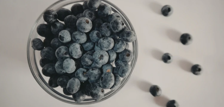 Dry Blueberries: Tiny Berries, Mighty Health Benefits
