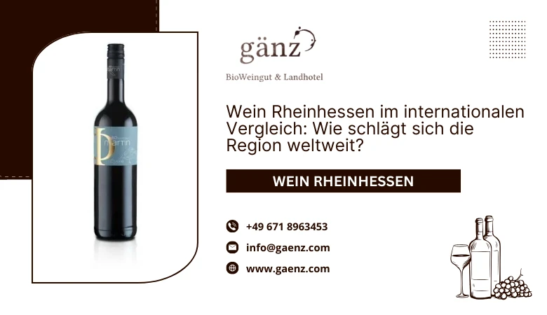 🌍 Wein Rheinhessen im internationalen Vergleich: Wie schlägt sich die Region weltweit?