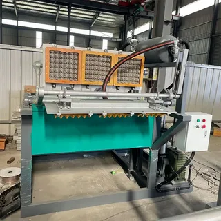 Pulp Moulding Machinery Market Forecast by Region and Application