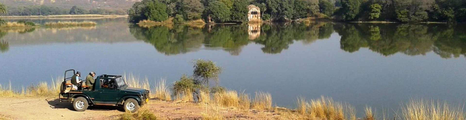 Ranthambhore National Park: A Complete Guide to the Wild Heart of Rajasthan