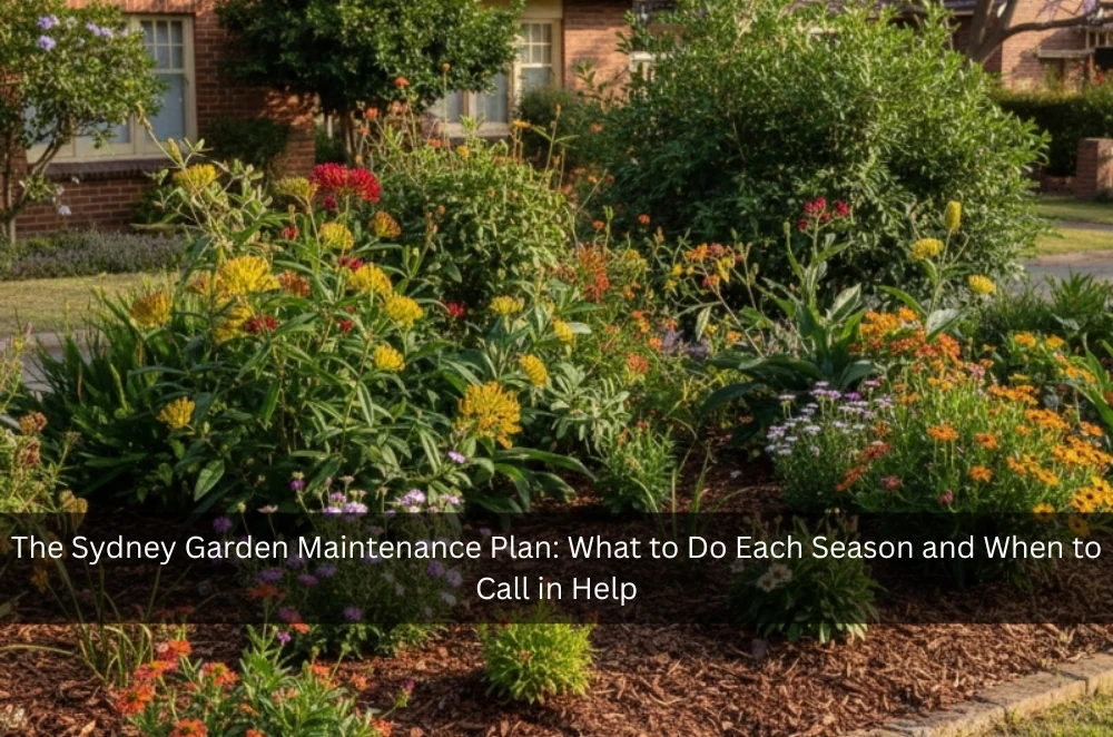 The Sydney Garden Maintenance Plan: What to Do Each Season and When to Call in Help