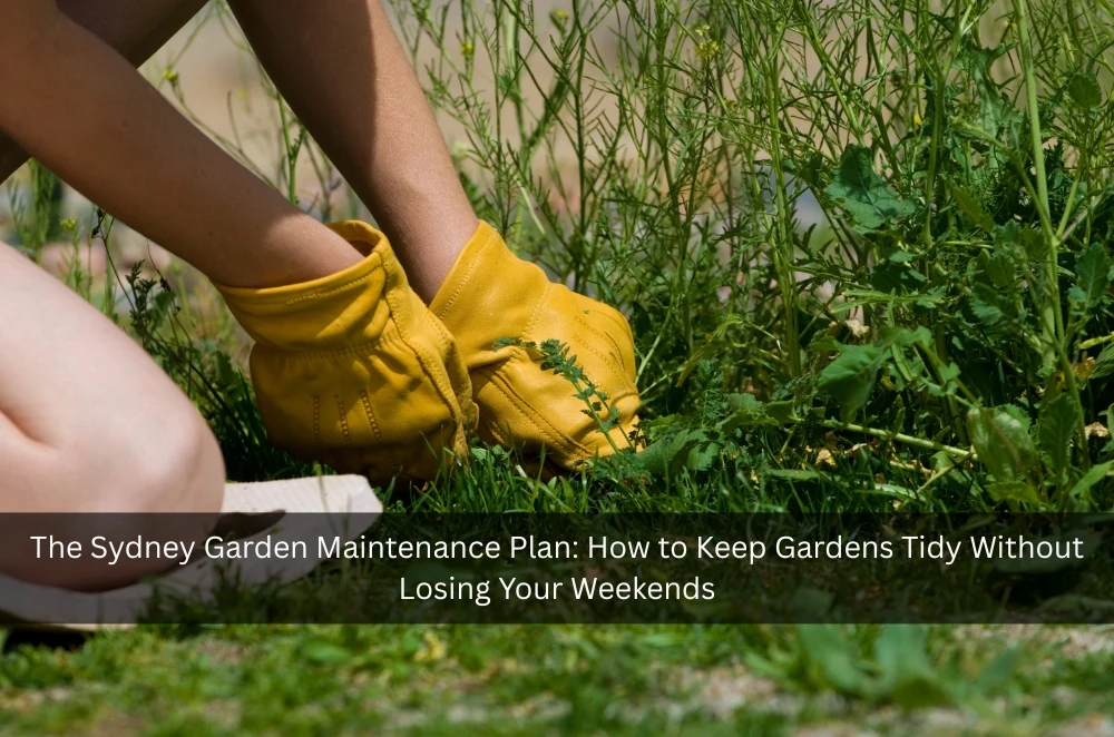 The Sydney Garden Maintenance Plan: How to Keep Gardens Tidy Without Losing Your Weekends