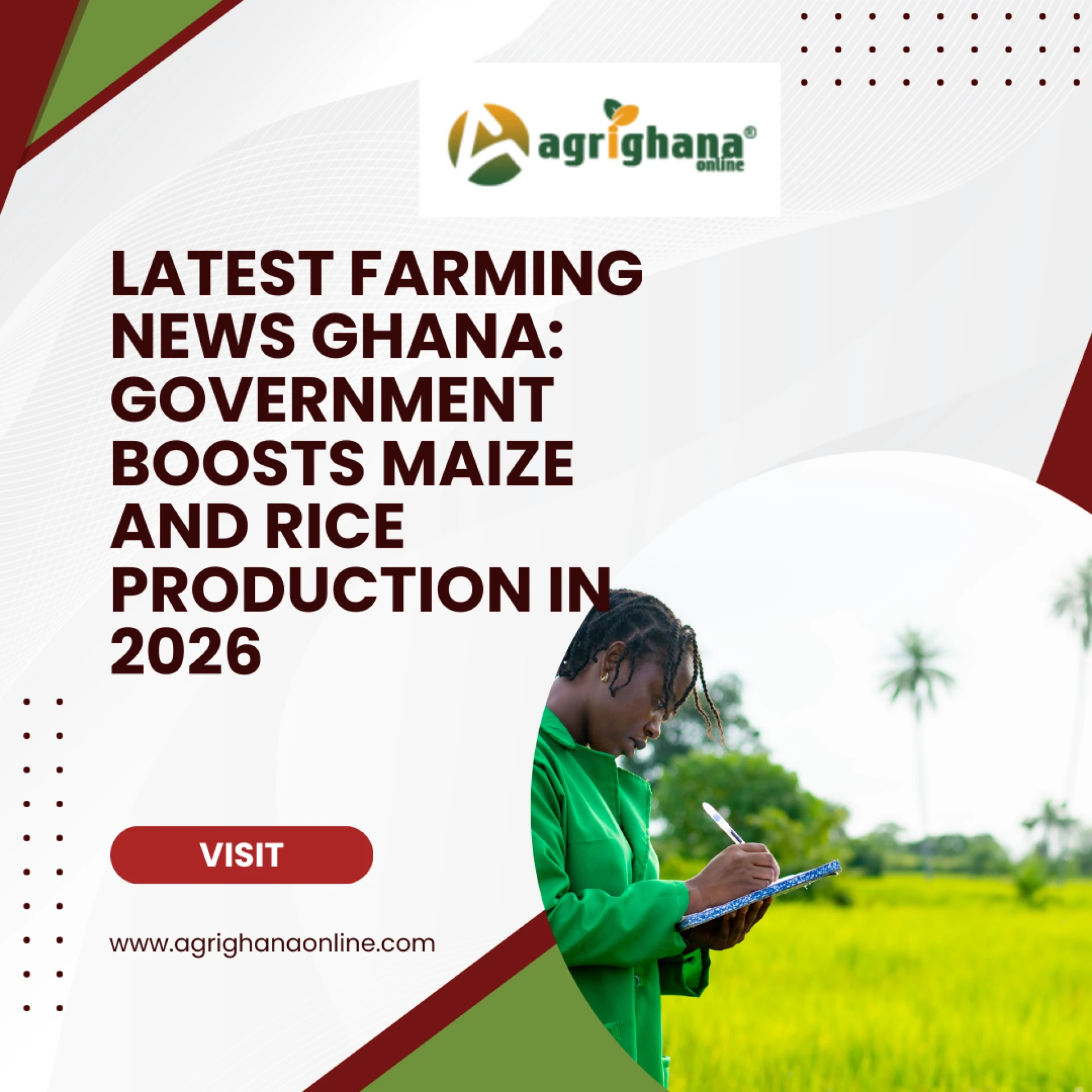 Latest Farming News Ghana: Government Boosts Maize and Rice Production in 2026