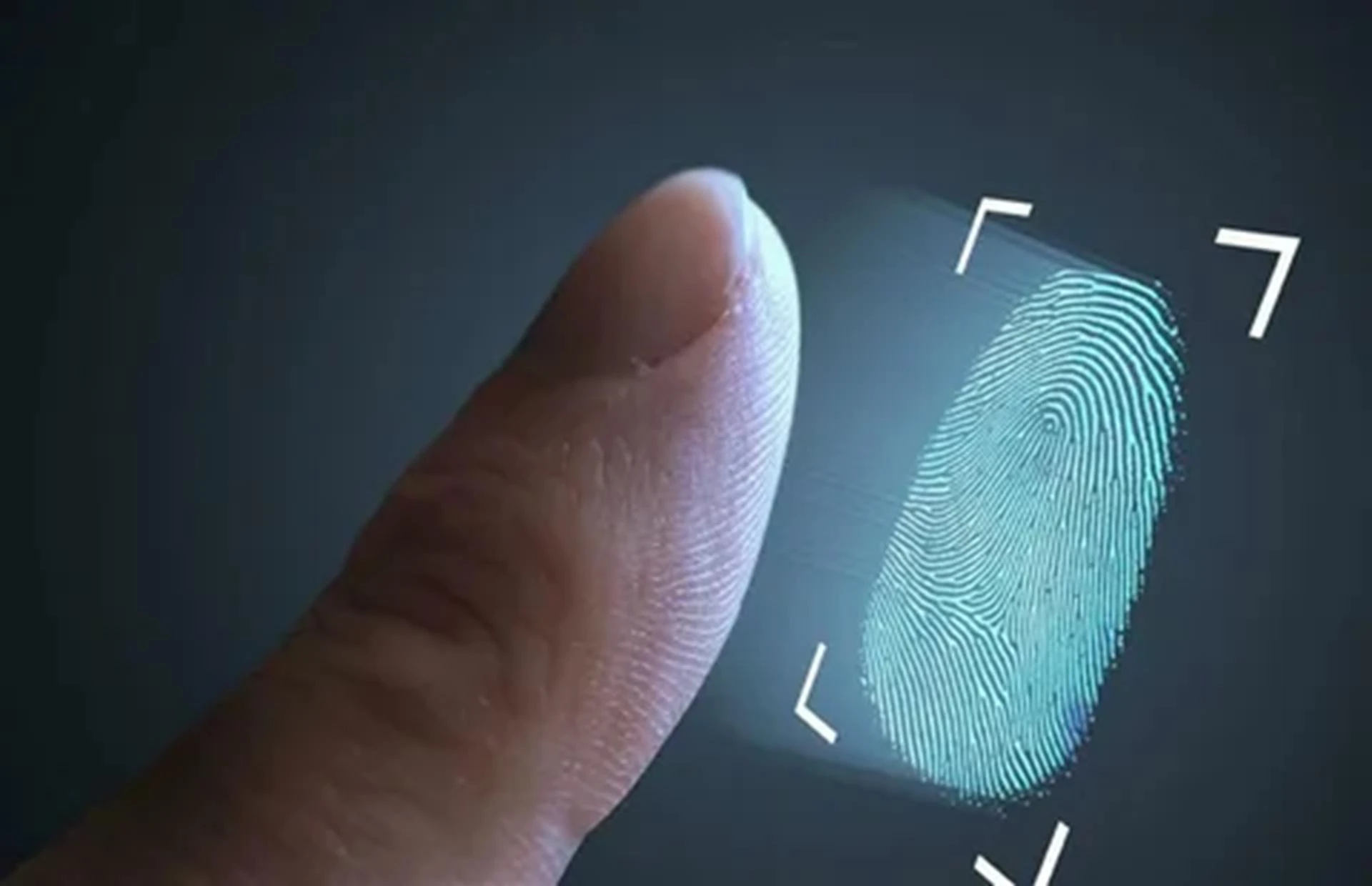 The Rise of Mobile Fingerprinting Services Near Me: Convenience at Your Doorstep
