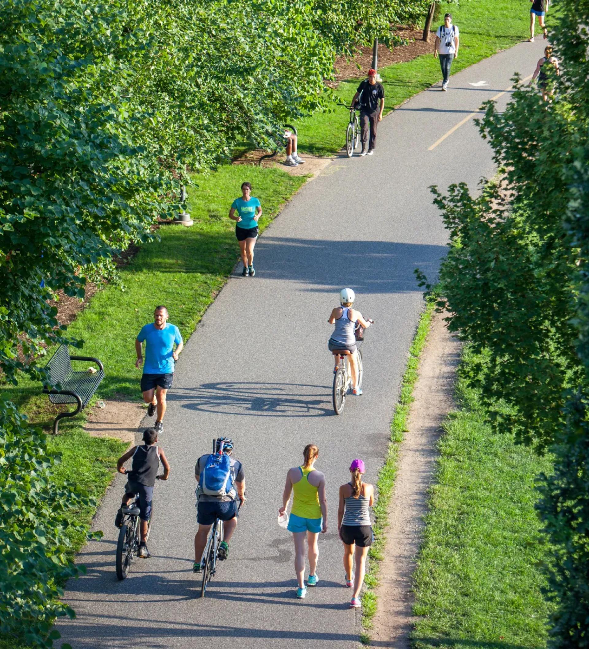 How GoJoe Is Transforming Life Insurance Wellness Programs with Smart Health Data Reporting