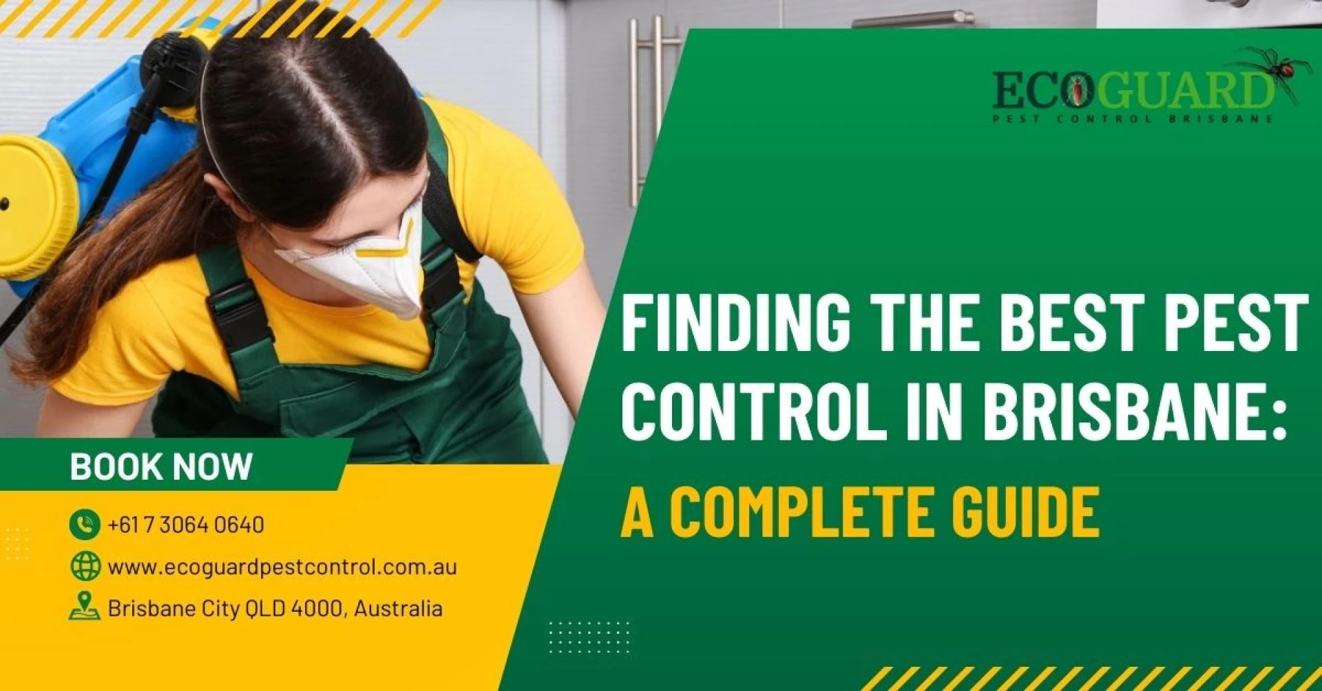 Finding the Best Pest Control in Brisbane: A Complete Guide