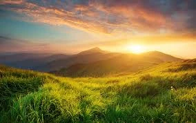 Zone 2 Cardio in 2026: Why Low-Intensity Training Is the Smartest Fitness Upgrade This Year