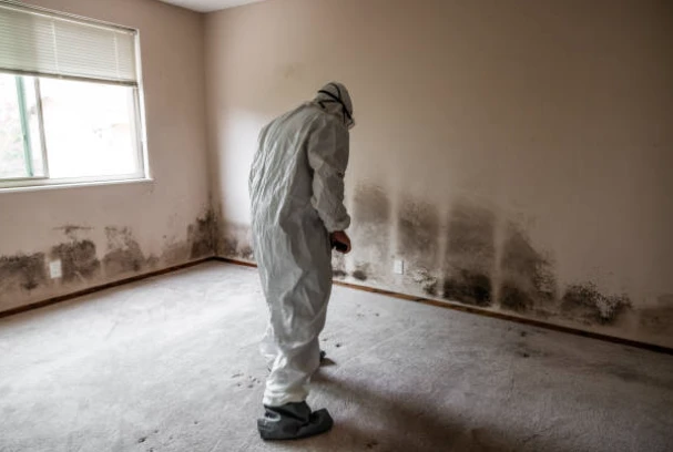 Why Mold Removal Is a Crucial Part of Water Damage Restoration Deerfield, WI