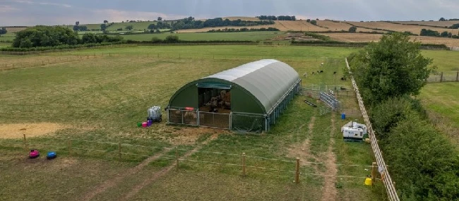 Understanding agricultural barn structures designed for livestock, storage and farm operations