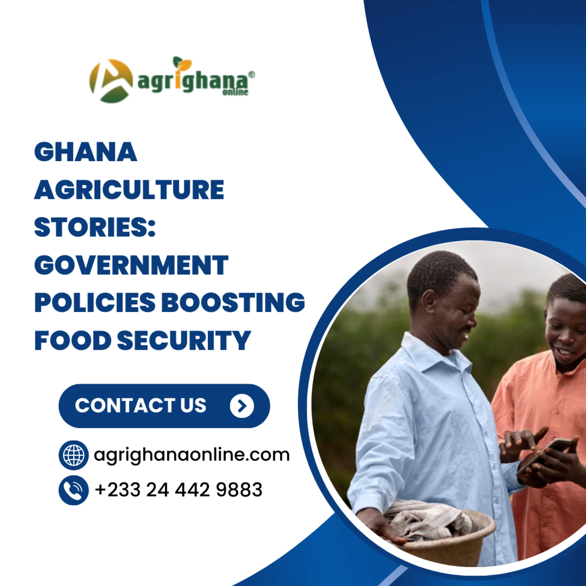 Ghana Agriculture Stories: Government Policies Boosting Food Security