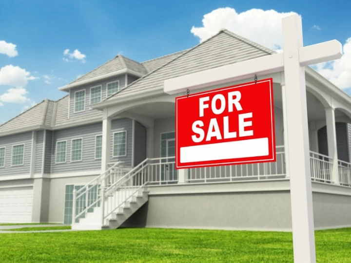 Why Market Research Matters Before Choosing Houses for Sale