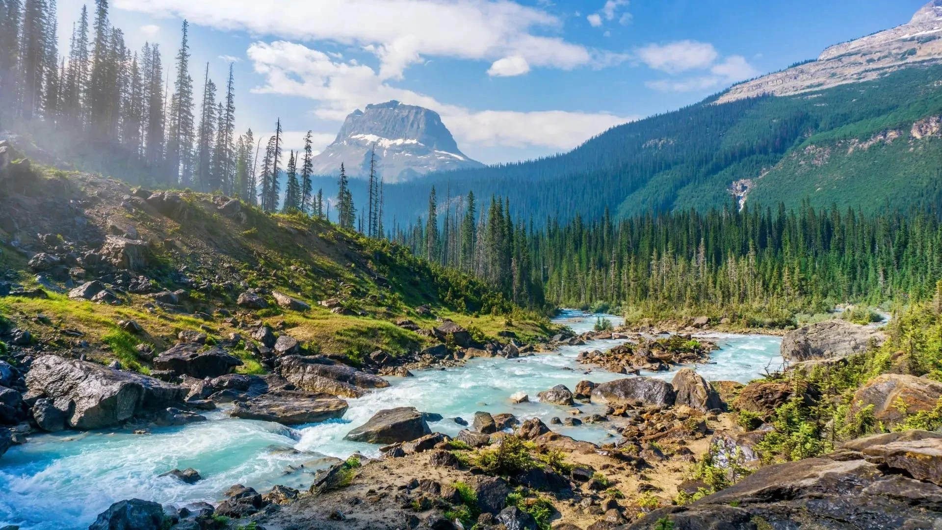 Executive Health Assessment London: Addressing Persistent Fatigue and Poor Sleep