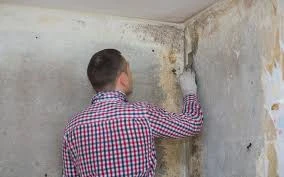 Why Mold Inspection in Homes Is Critical in Pacific Palisades, California for Coastal Living