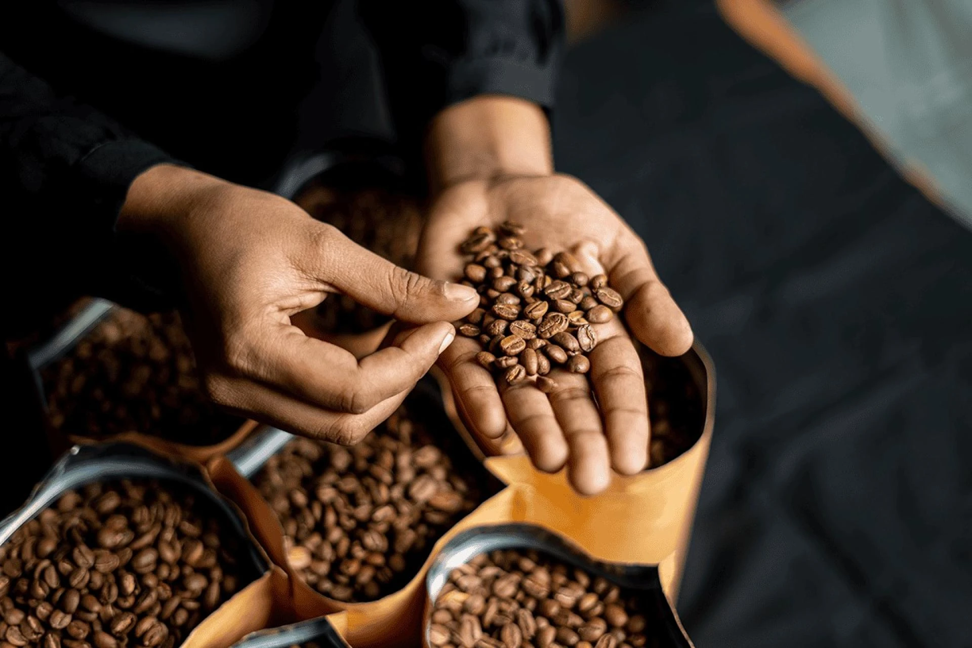 Coffee Roasters in India: Brewing a Nation’s Love for Specialty Coffee