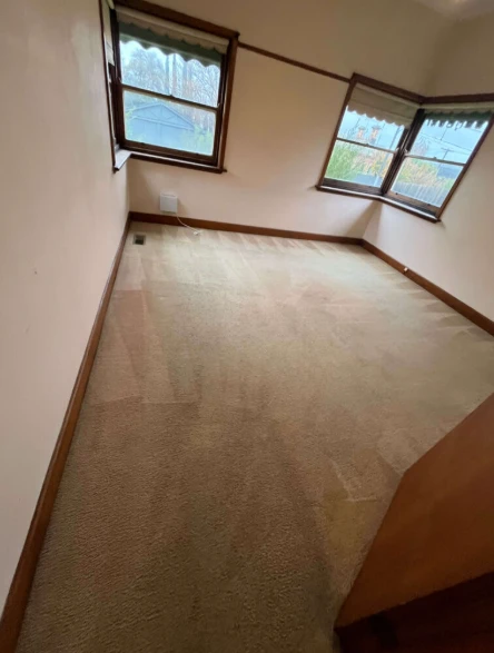 Professional Carpet Cleaners: The Secret to Long-Lasting Carpets