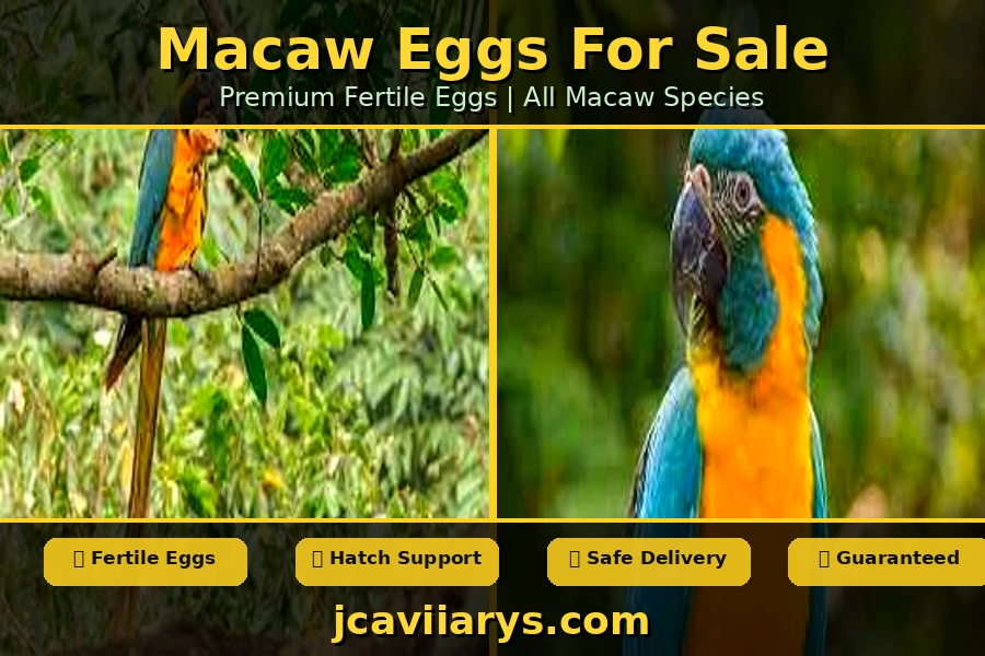 Understanding the Curiosity Behind a Sensitive Search