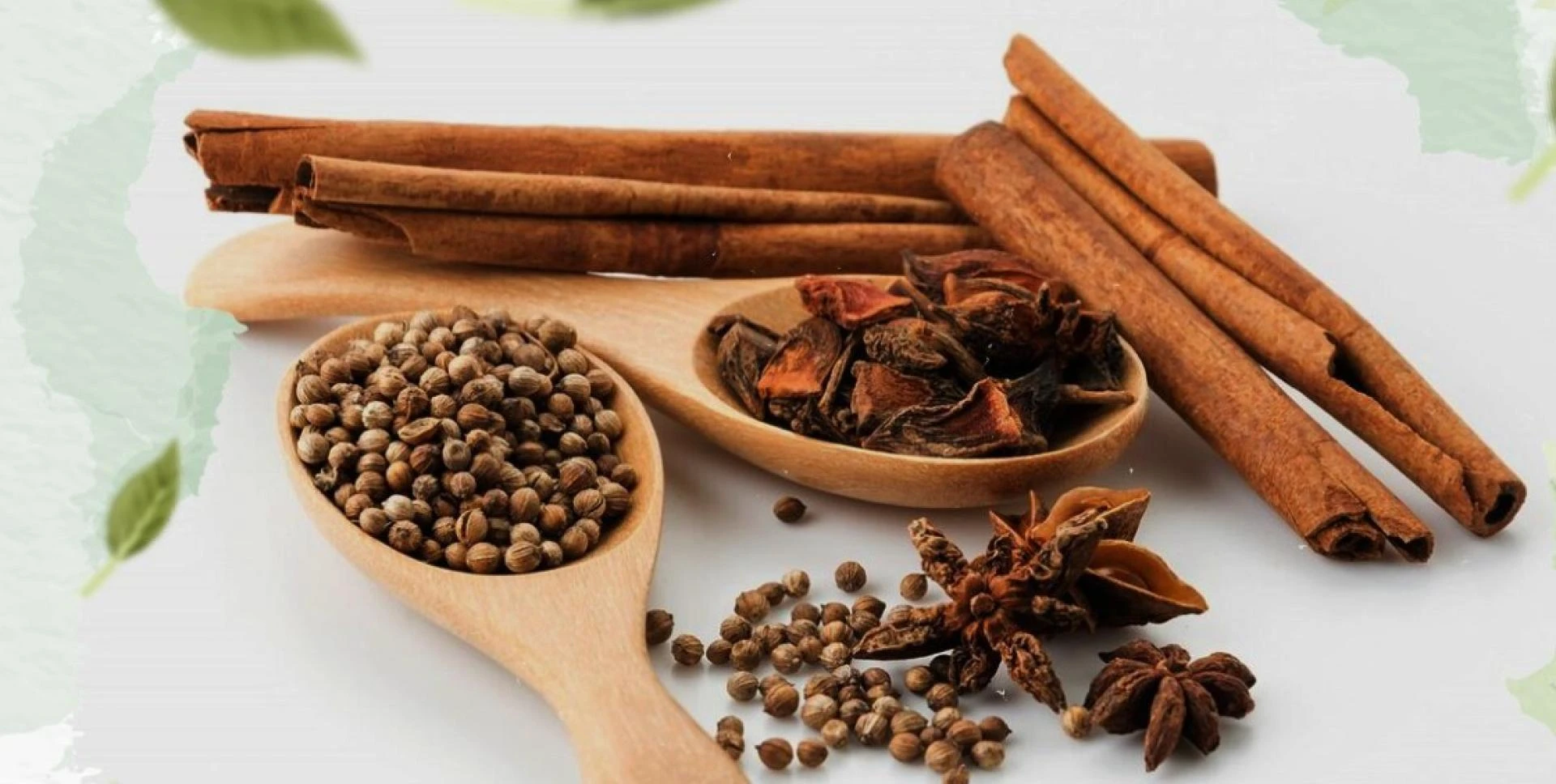 How to Understand Procidentia and Its Problems