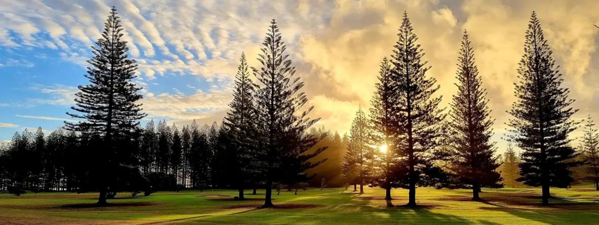 What to Pack for a Norfolk Island Holiday: Essentials You Might Forget